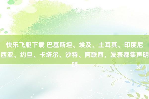快乐飞艇下载 巴基斯坦、埃及、土耳其、印度尼西亚、约旦、卡塔尔、沙特、阿联酋，发表都集声明